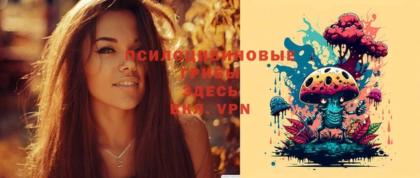 эйфоретик Медногорск